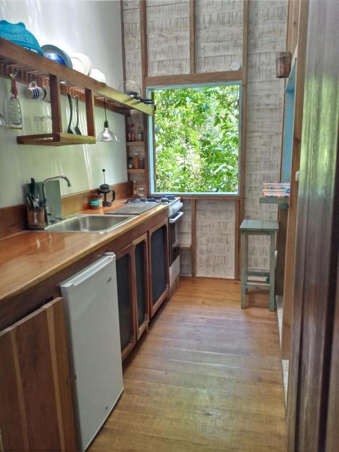 Jungle Paunch Villa Bocas Town Ngoại thất bức ảnh