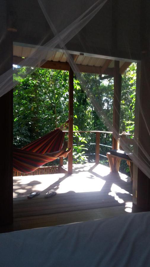Jungle Paunch Villa Bocas Town Ngoại thất bức ảnh