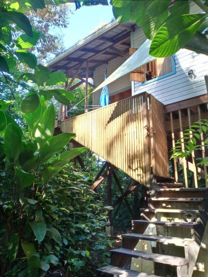 Jungle Paunch Villa Bocas Town Ngoại thất bức ảnh