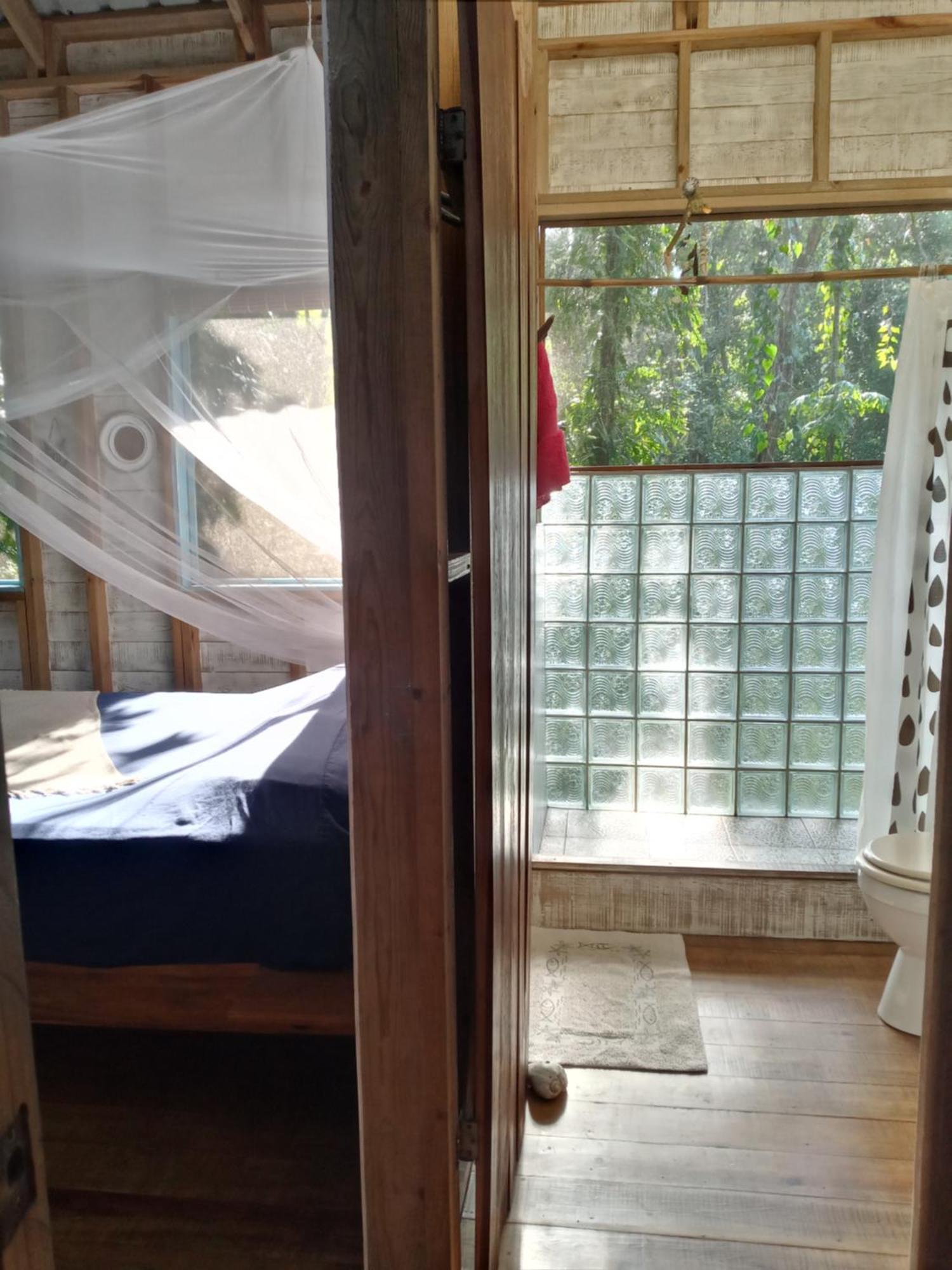 Jungle Paunch Villa Bocas Town Ngoại thất bức ảnh