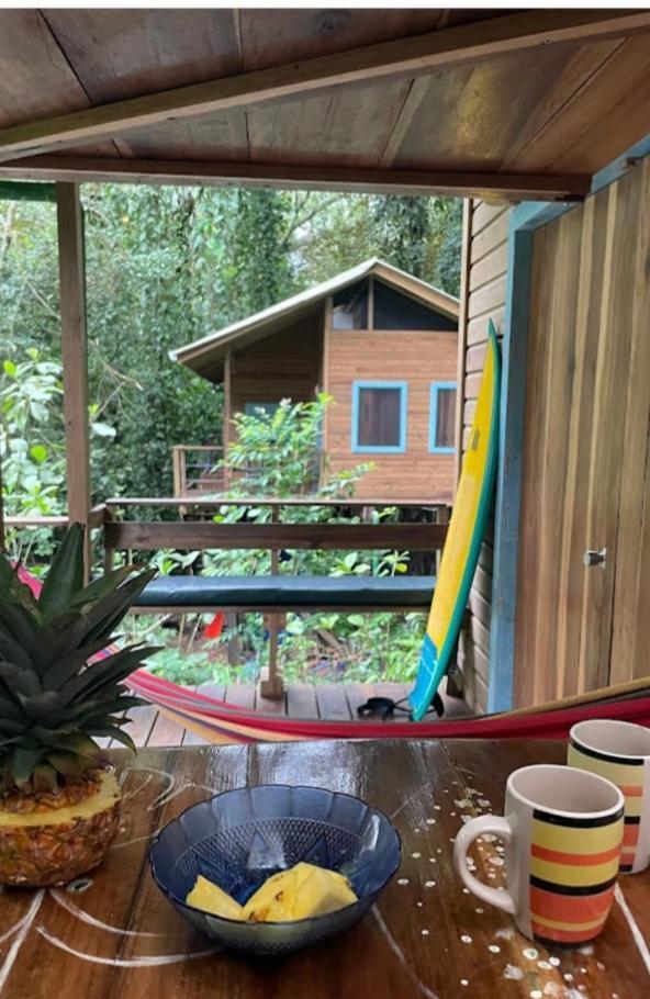 Jungle Paunch Villa Bocas Town Ngoại thất bức ảnh