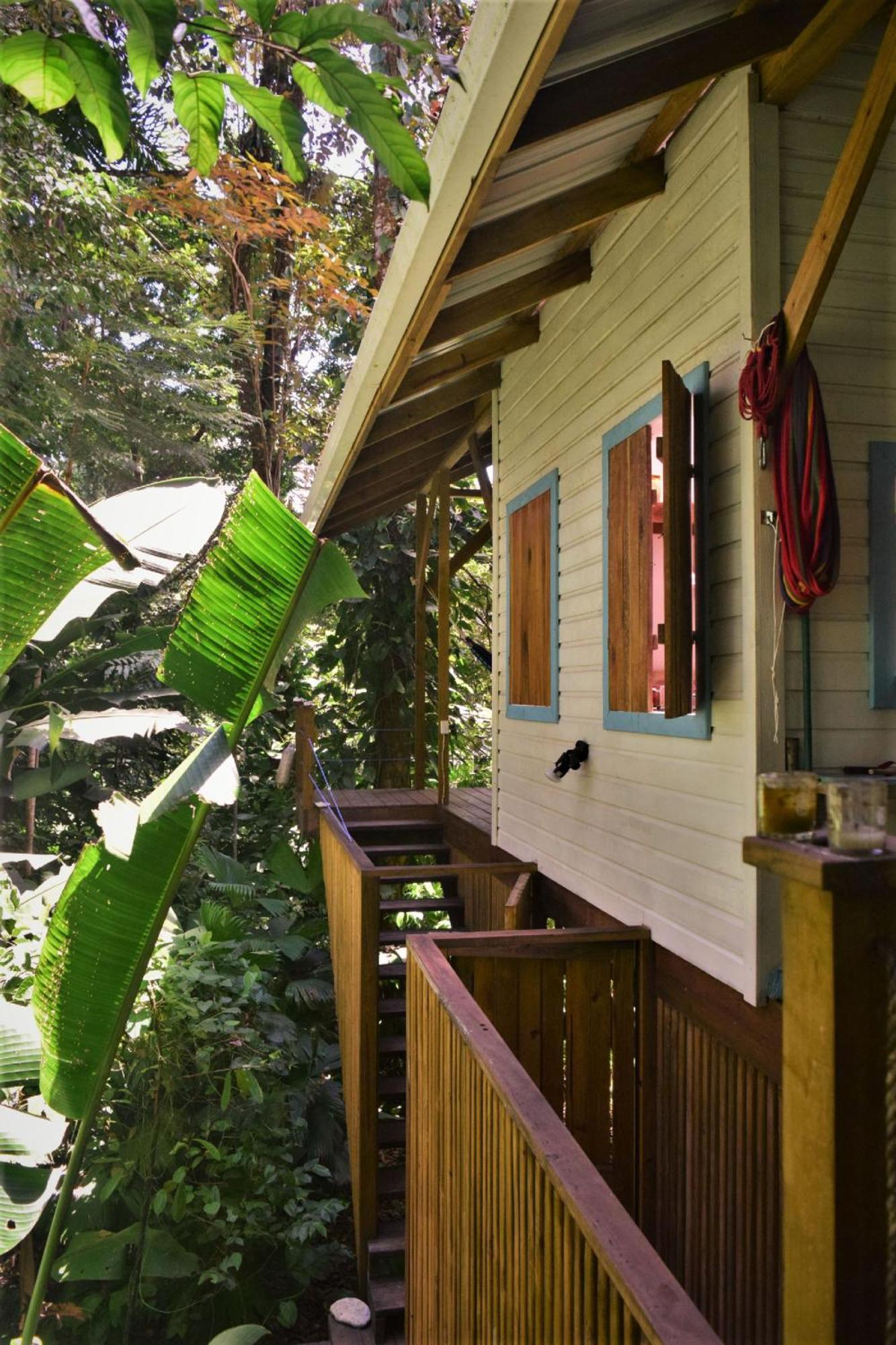 Jungle Paunch Villa Bocas Town Ngoại thất bức ảnh