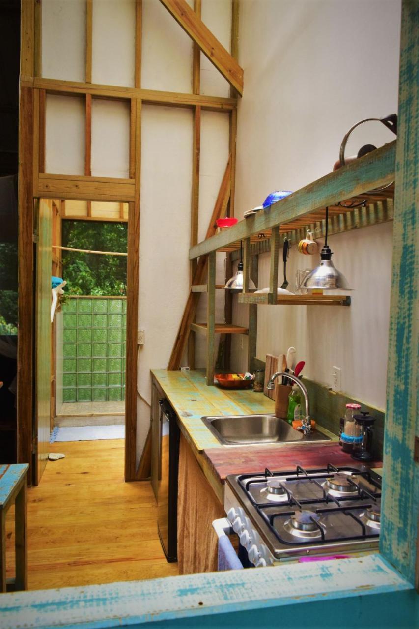 Jungle Paunch Villa Bocas Town Ngoại thất bức ảnh