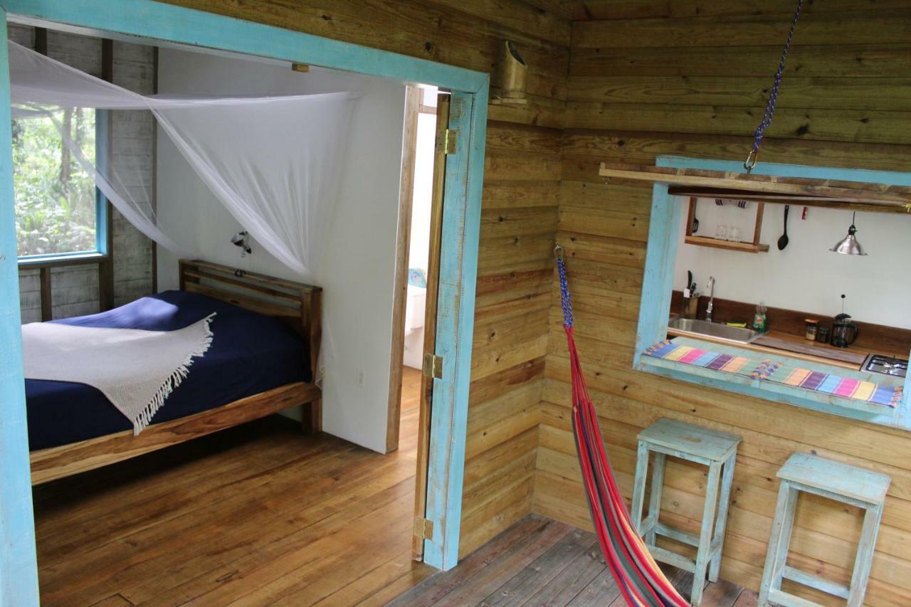 Jungle Paunch Villa Bocas Town Ngoại thất bức ảnh