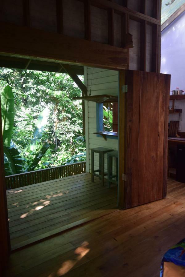 Jungle Paunch Villa Bocas Town Ngoại thất bức ảnh